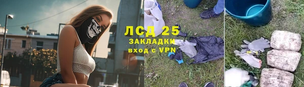 гашик Гусь-Хрустальный