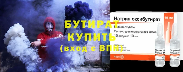 индика Гусиноозёрск