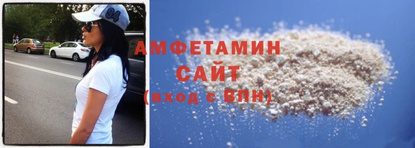 индика Гусиноозёрск