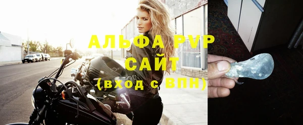 гидра Гусев