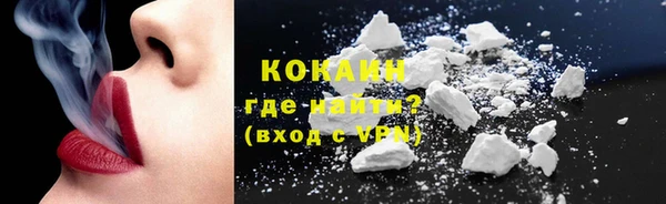 гашик Гусь-Хрустальный