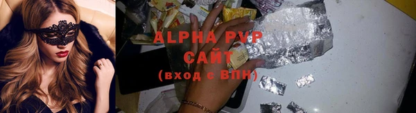 гидра Гусев