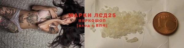 гидра Гусев