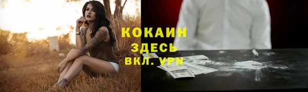 гашик Гусь-Хрустальный