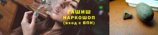 гашик Гусь-Хрустальный