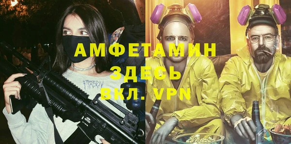 гашик Гусь-Хрустальный