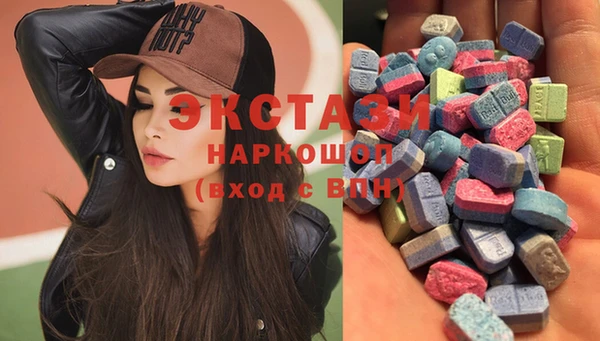индика Гусиноозёрск