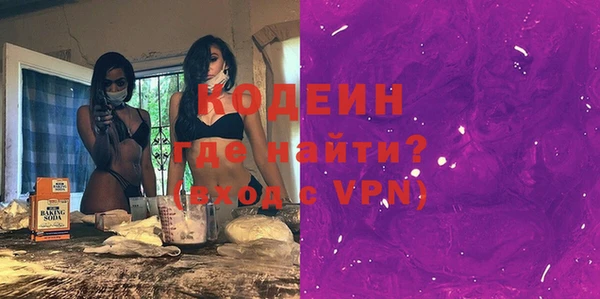 гашик Гусь-Хрустальный