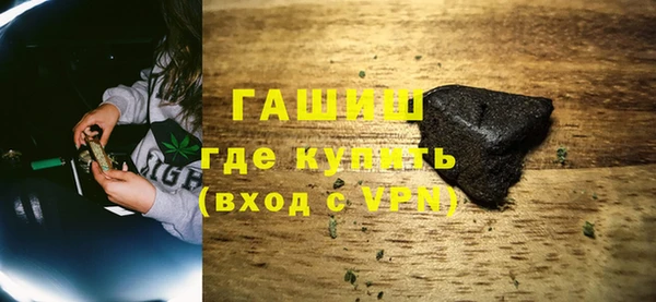 индика Гусиноозёрск