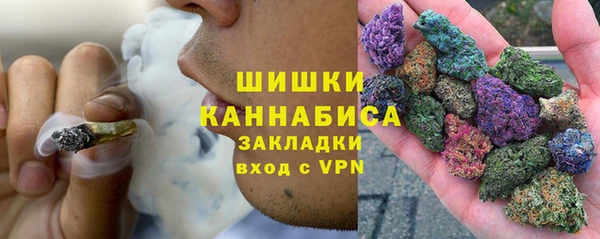 гидра Гусев