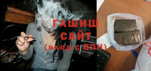 гидра Гусев