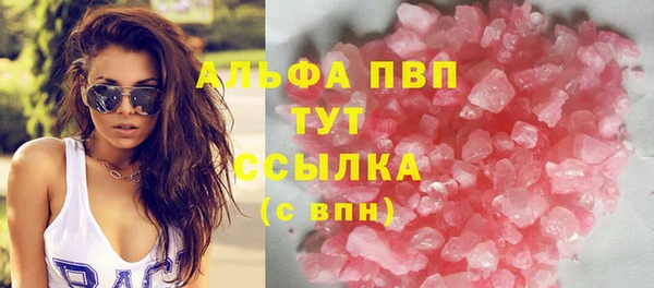 гашик Гусь-Хрустальный