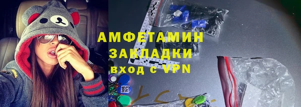 индика Гусиноозёрск