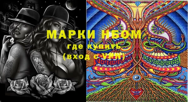 индика Гусиноозёрск