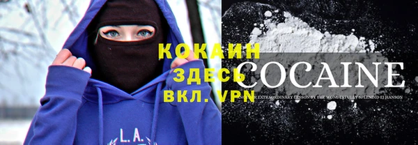 гашик Гусь-Хрустальный