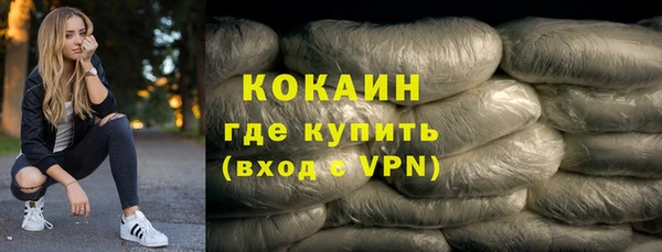 индика Гусиноозёрск