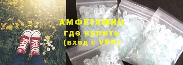 гидра Гусев