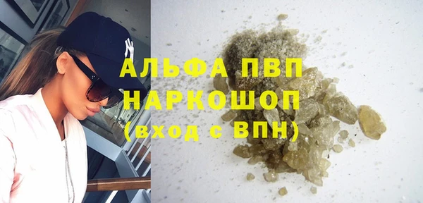 индика Гусиноозёрск