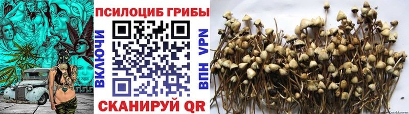 Псилоцибиновые грибы мухоморы Одинцово
