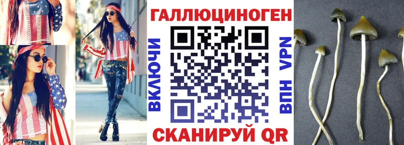 Псилоцибиновые грибы мухоморы  kraken ONION  Одинцово  даркнет состав  что такое наркотик 