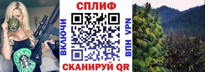 Шишки марихуана планчик  Одинцово 